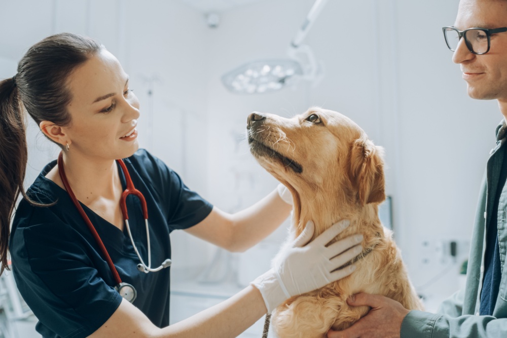 Cachorro em consulta com médica veterinária e seu tutor ao lado.