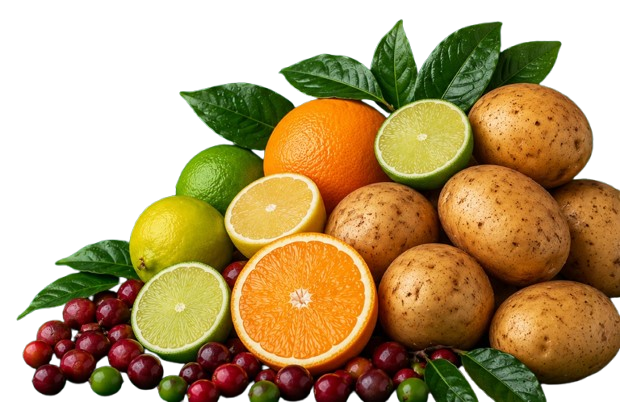 Frutas, vegetais e grãos