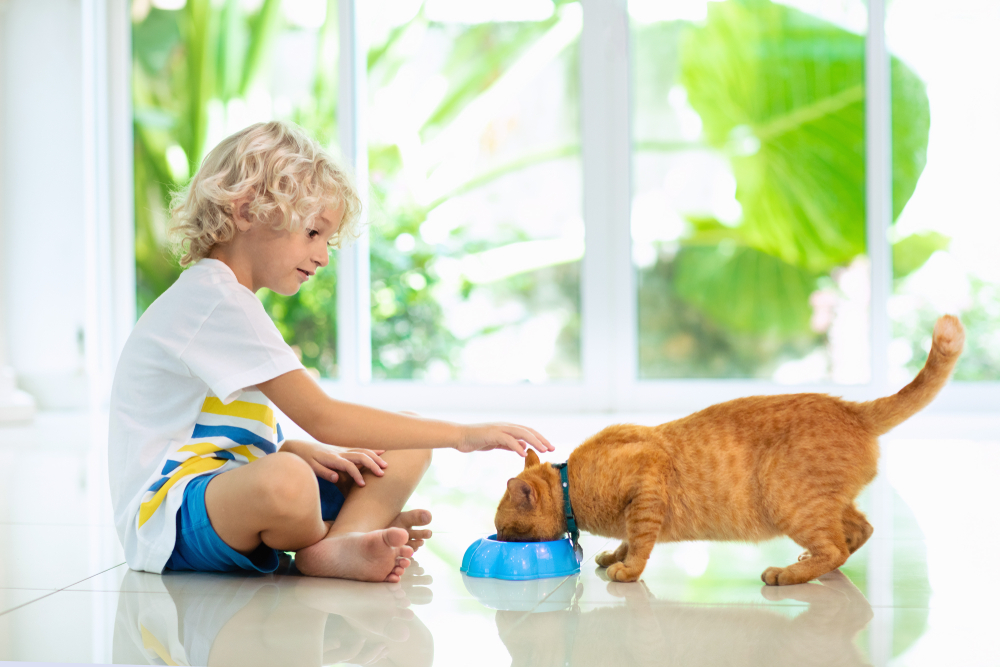 Gastroenterite em gatos: causas e sintomas